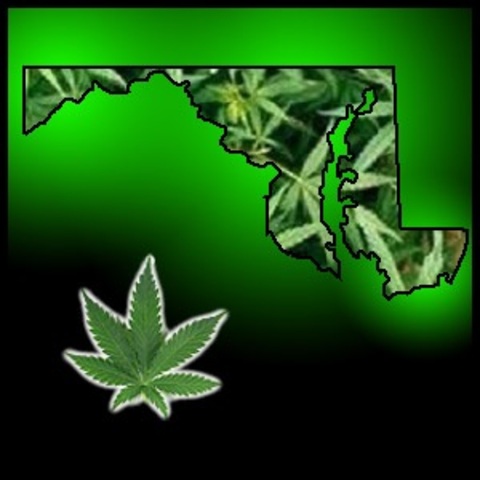 Maryland Legalizes Cannabis for Medical Use