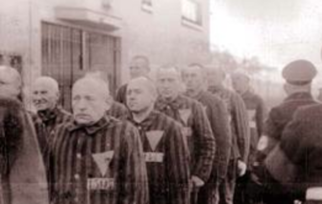 Homosexuals And Nazi's