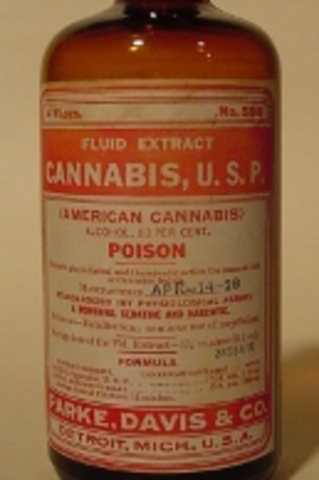 1930s Marijuana Based Medicine on Rise