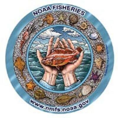 Timeline: Fishery Regulations