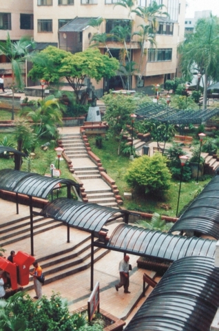 Historia de la universidad