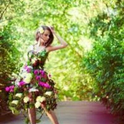 Timeline: COLOCHITA 8A