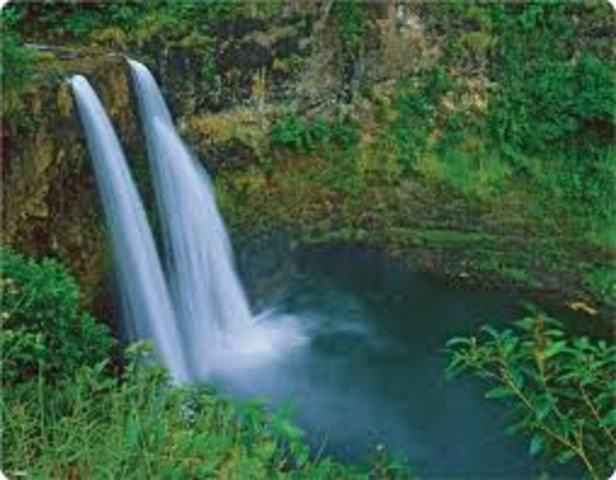 Ultimo año de  la Licenciatura