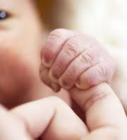 Infants basic reflexes