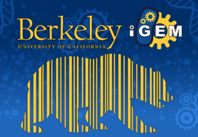 Improve the project of Berkeley
