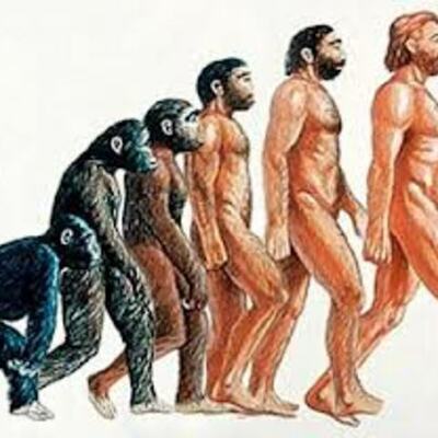 Timeline: Evolución del género Homo