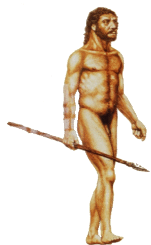 Homo Neanderthalensis