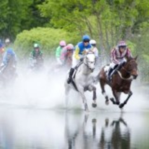 Virginia,England, France and Spain, to find gold