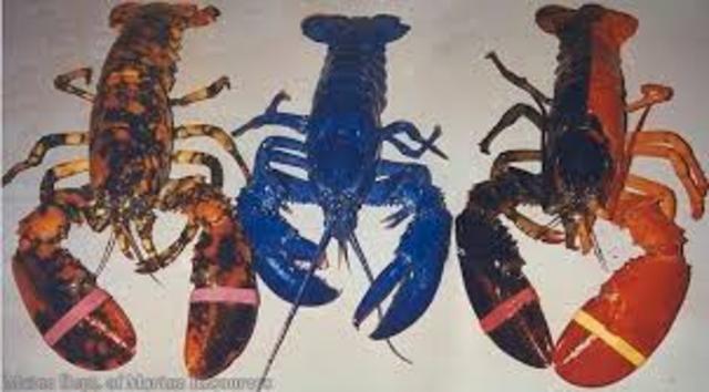 Maine, Massachusetts Bay, founded for good farm land