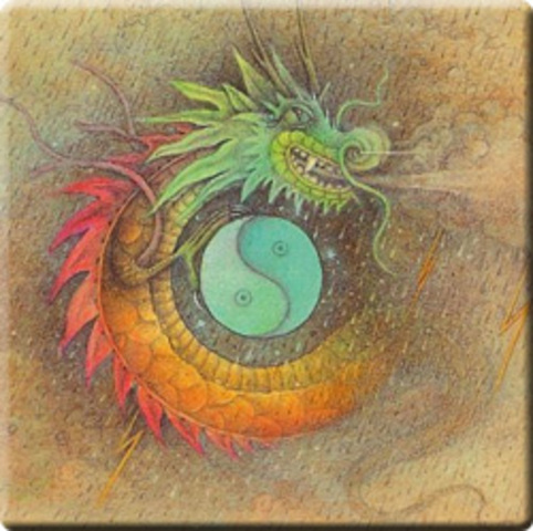 Started Taking Multimedia