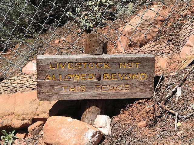 Indian Regorganization Act