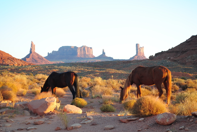 Monument Valley Navajo Tribal Park (MVNTP)