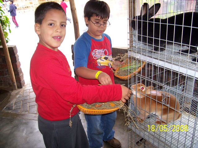 Cumpleaños Nº 7  2008