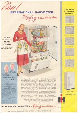 The "schizophrenogenic mother"