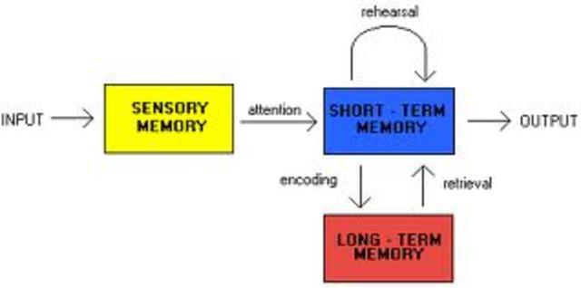 Information Processing Theories