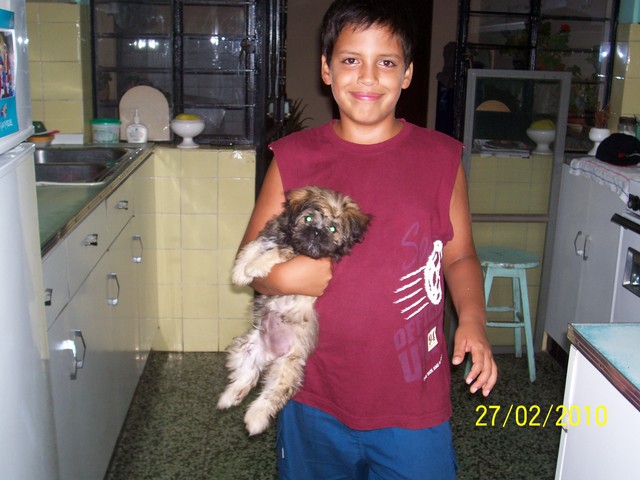 Mi primer perritp