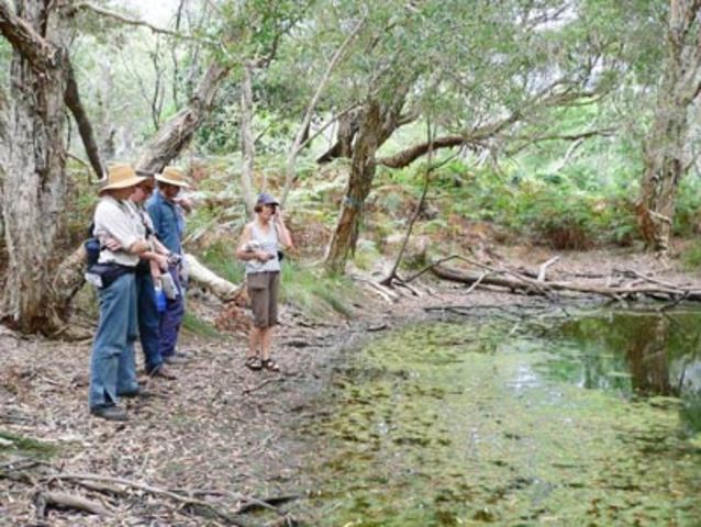 Oyster Farming Began