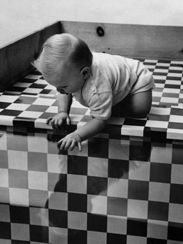 The Visual Cliff and Depth Perception