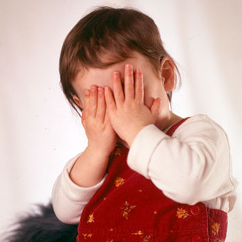 Cognitive Development- Object Permanence