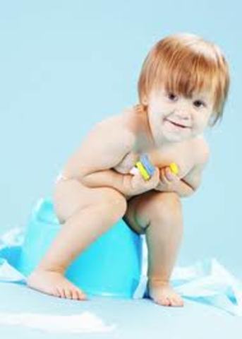 Psychosexual Development- Anal Stage