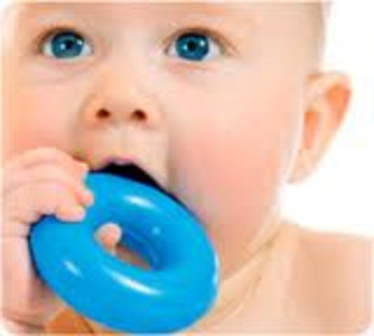 Freud: Oral Stage (first 18 months)