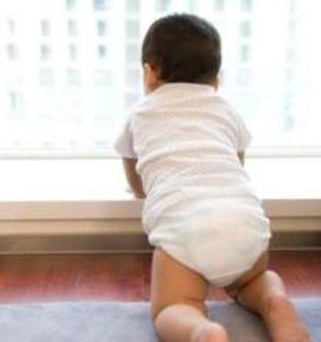 Freud: Anal Stage (1.5 - 3)