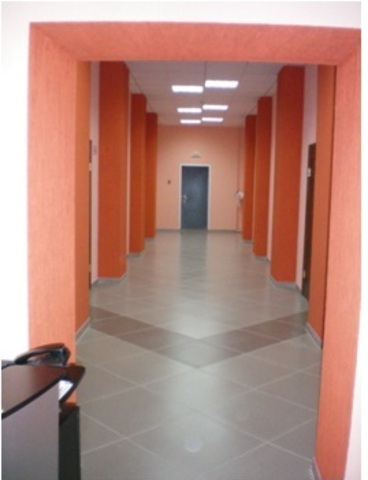 Организация образовательной и развивающей среды