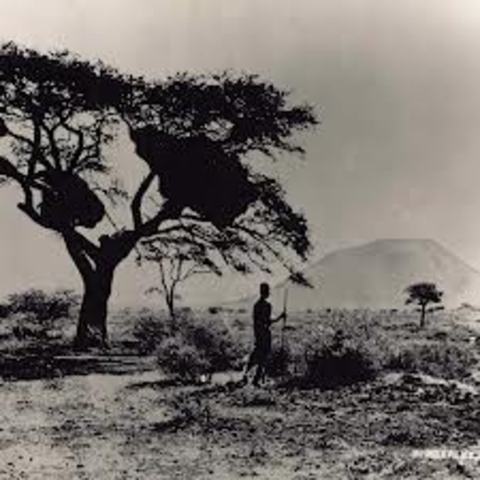 The discovery of diamonds in the British Cape Colony