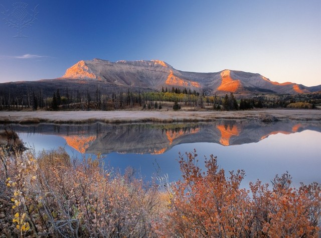 Reduceing Blackfoot Land