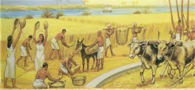 Desenvolvimento da agricultura