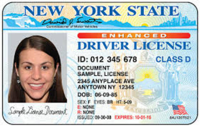 Driver's License