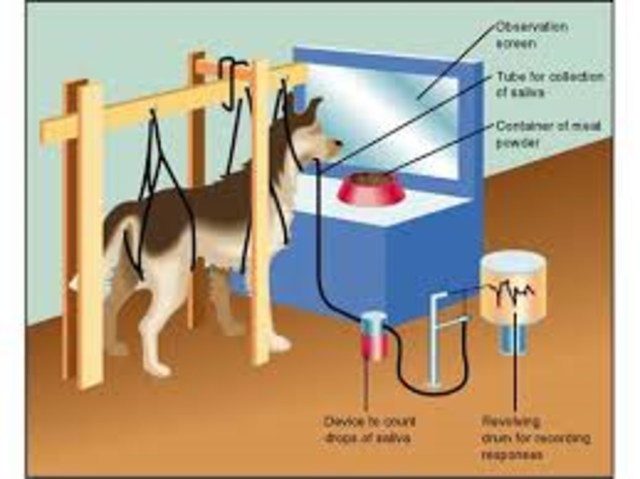 Classical Conditioning Theory
