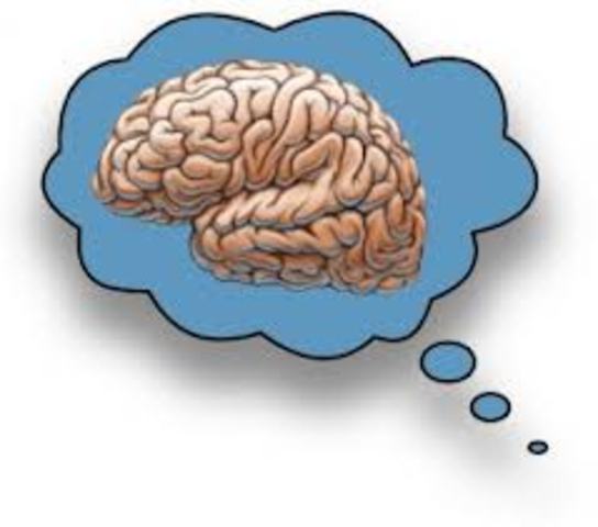 Metacognitive Theory