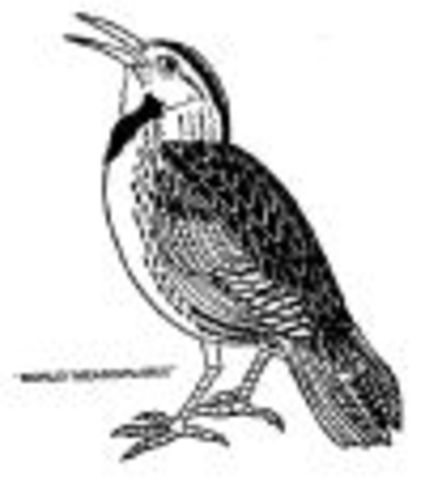 I began Elementary School