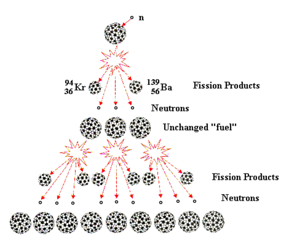 Fermi was incharge of the first controlled chain reaction.
