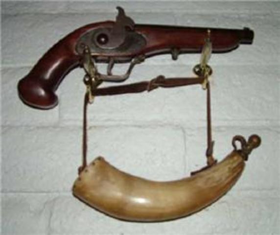 Gun
