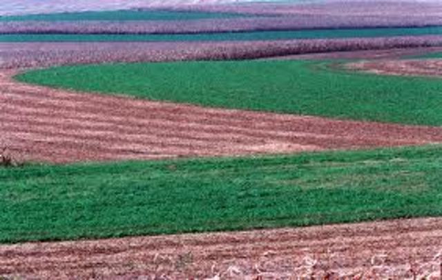 Connecticut was founded by Thomas hooker