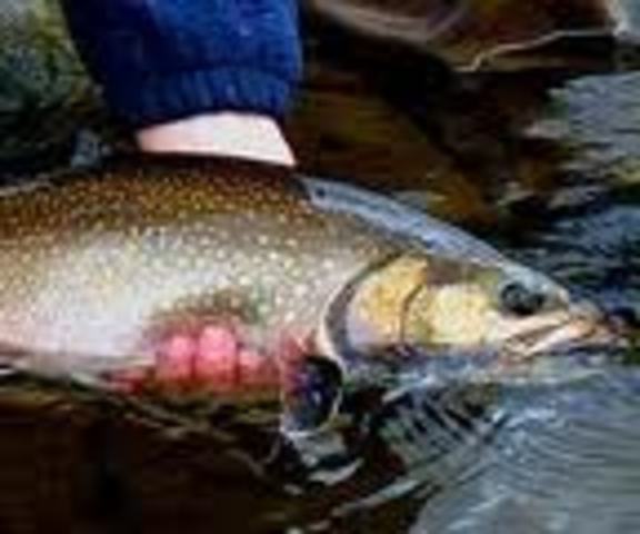 New Hampshire was founded by Jhon Mason