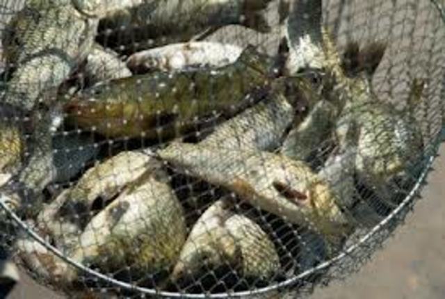 new hampshire was founded by ferdinando gorges and john mason why so they could have a place where settlers could earn money by fishing