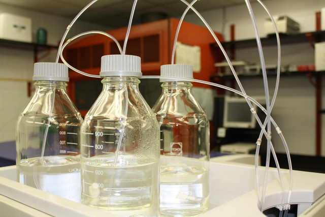 Begin Assisting with Biology Research