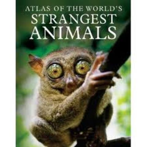 worlds strangest animals