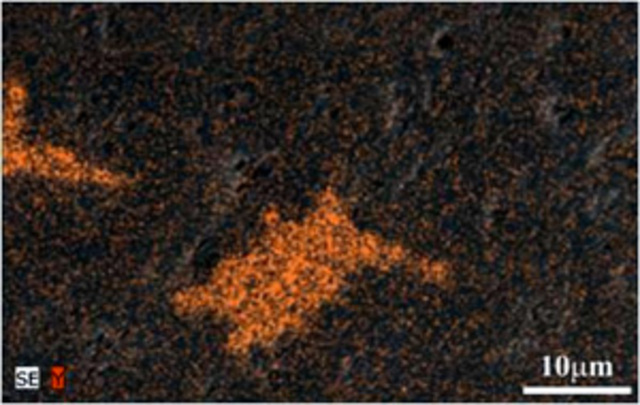 Hidroxiapatita sintetica