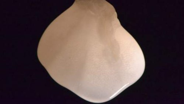 Bio-Riñon (biomaterial)