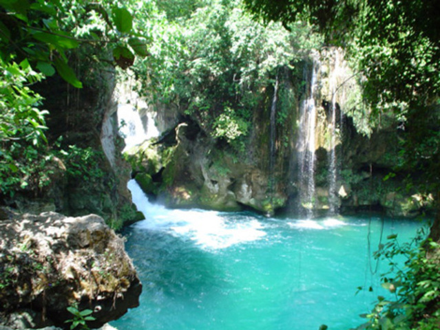 Desaparición de las selvas tropicales
