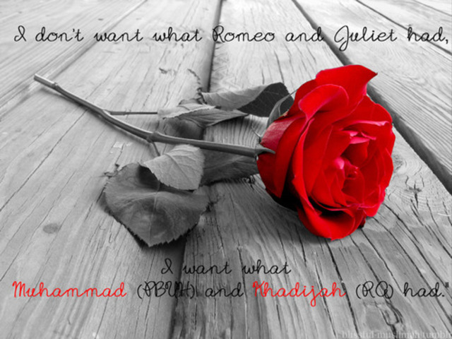 מותם של אבו טאלב  וחג'יג'ה