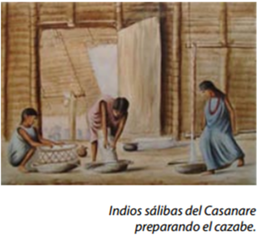 Séptima Expedición