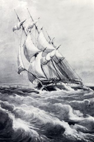 The Rattlesnake left England (T.H.H)