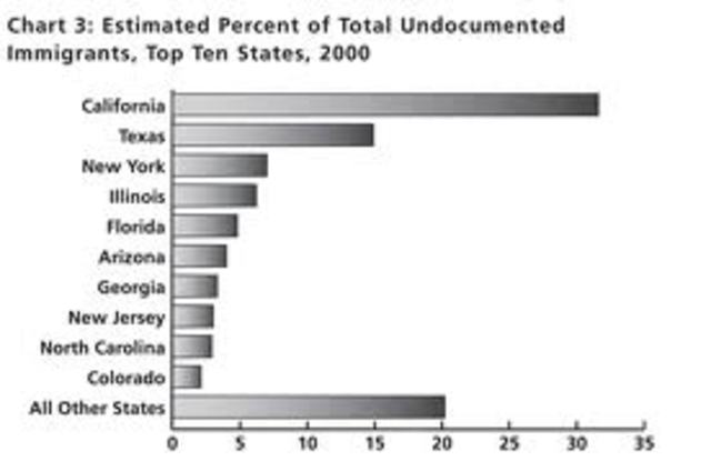 Undocumented Mexican-American Labor