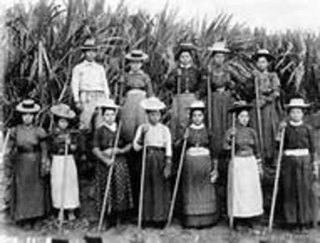 Japan Begins to move to Hawaii