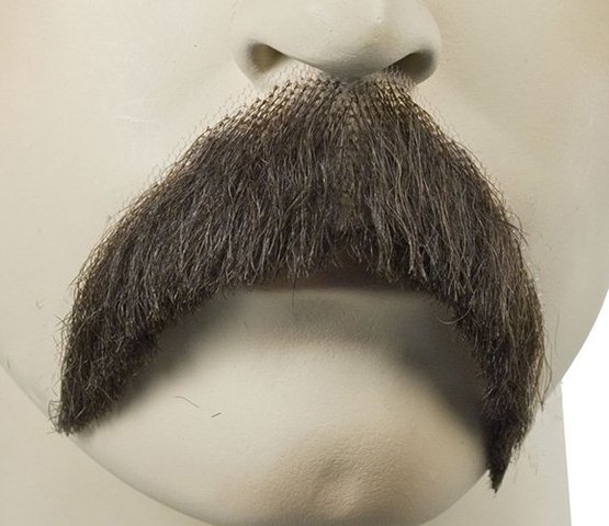 Man's facial hair 1880-1910